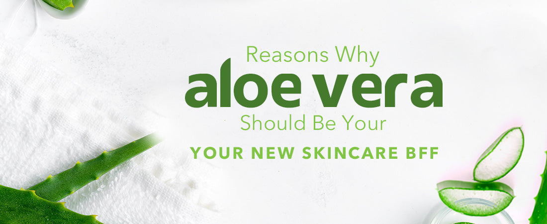 Reasons Why Aloe Vera Should Be Your New Skincare BFF
