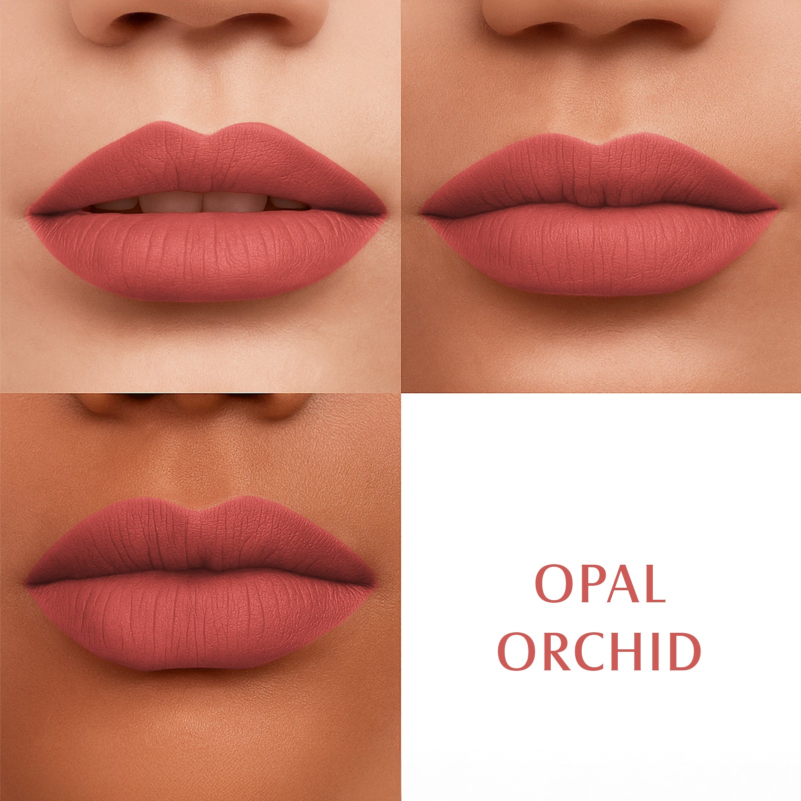 OPAL ORCHID