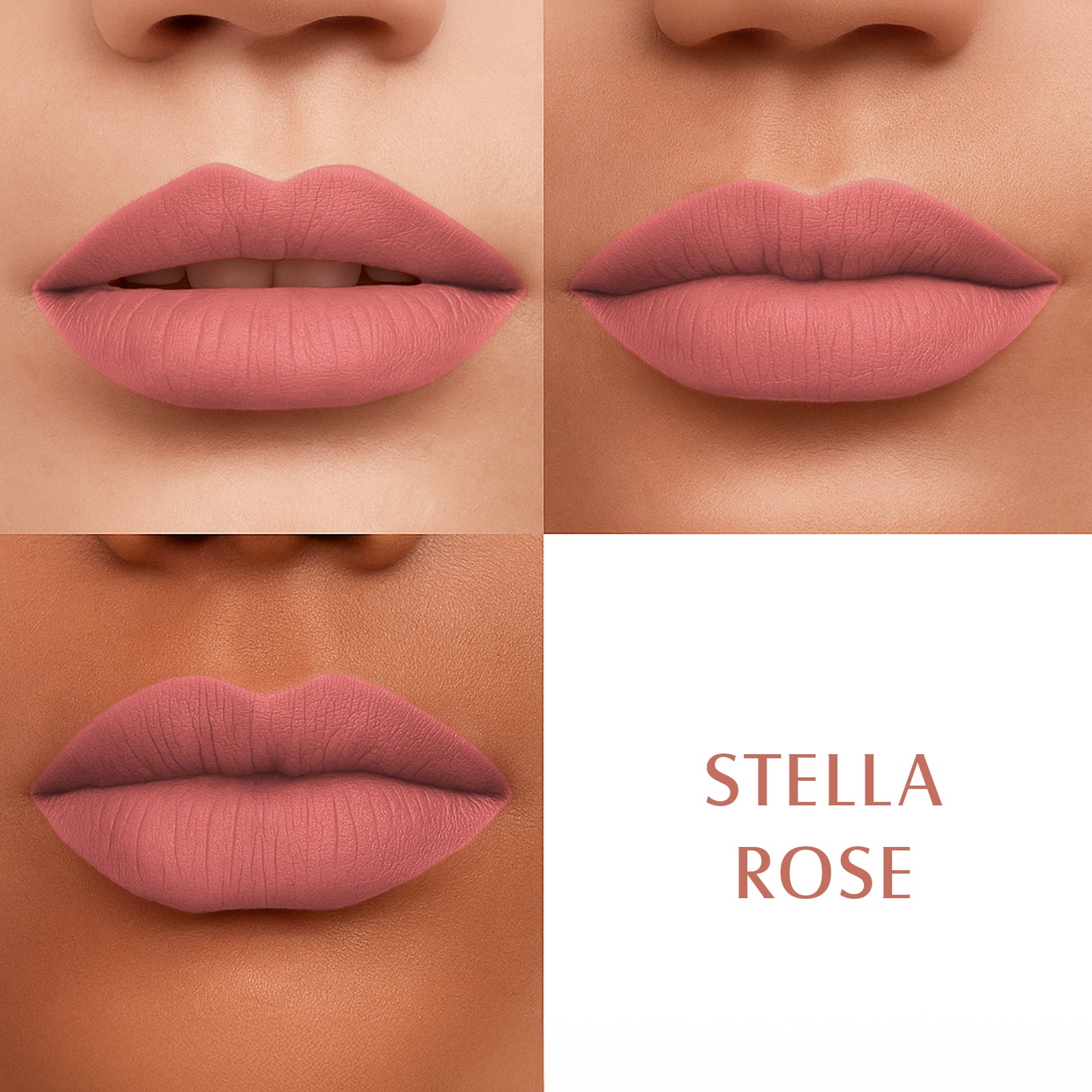 STELLA ROSE