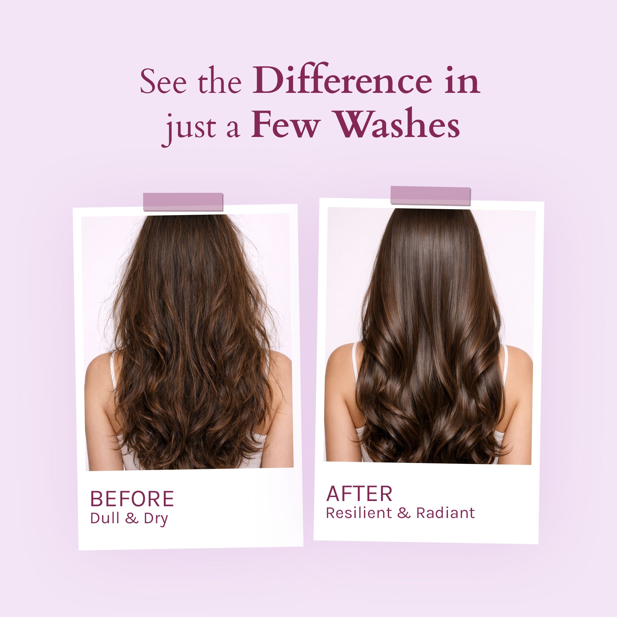 Lotus Organics+ Strong Roots Shampoo