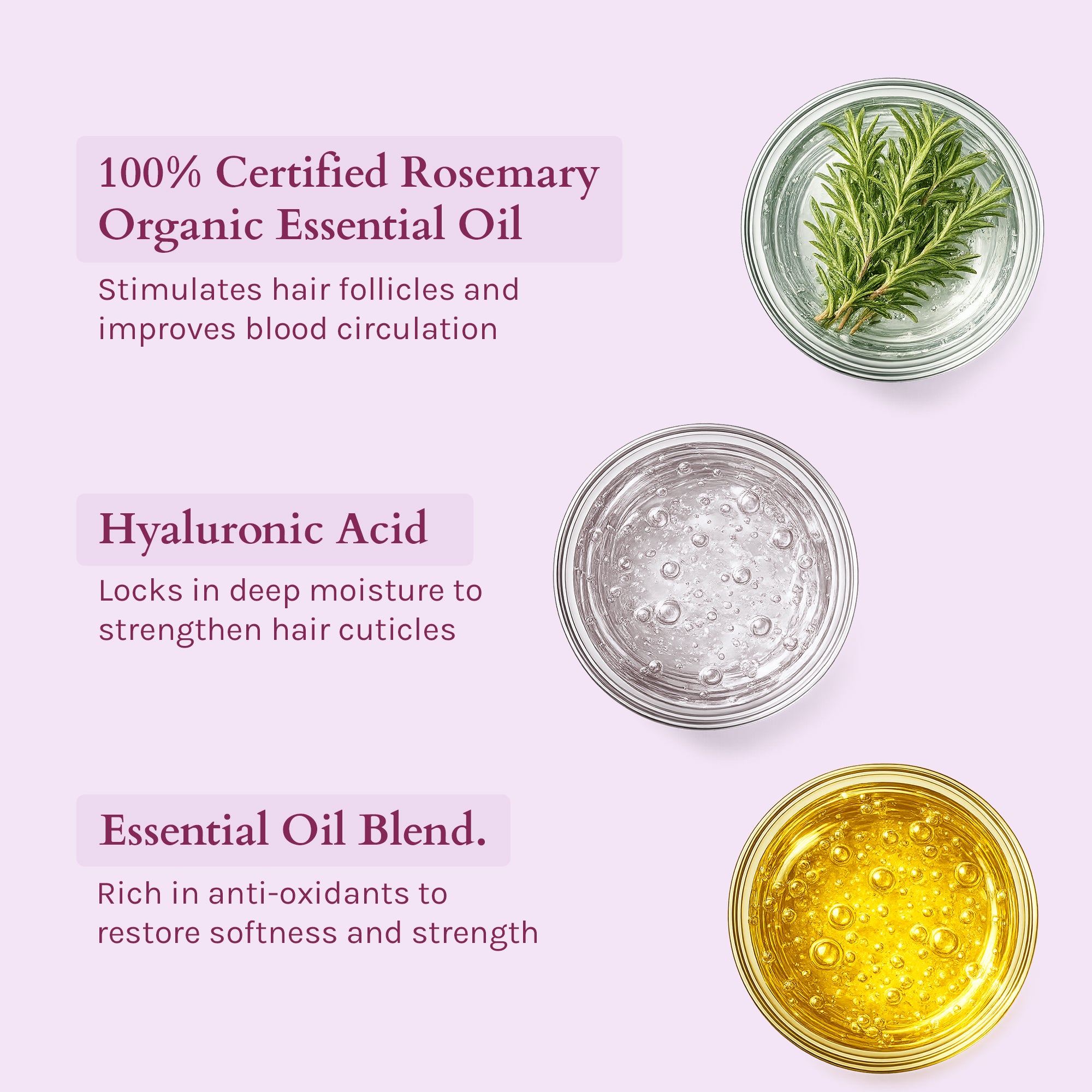 Lotus Organics+ Strong Roots Shampoo