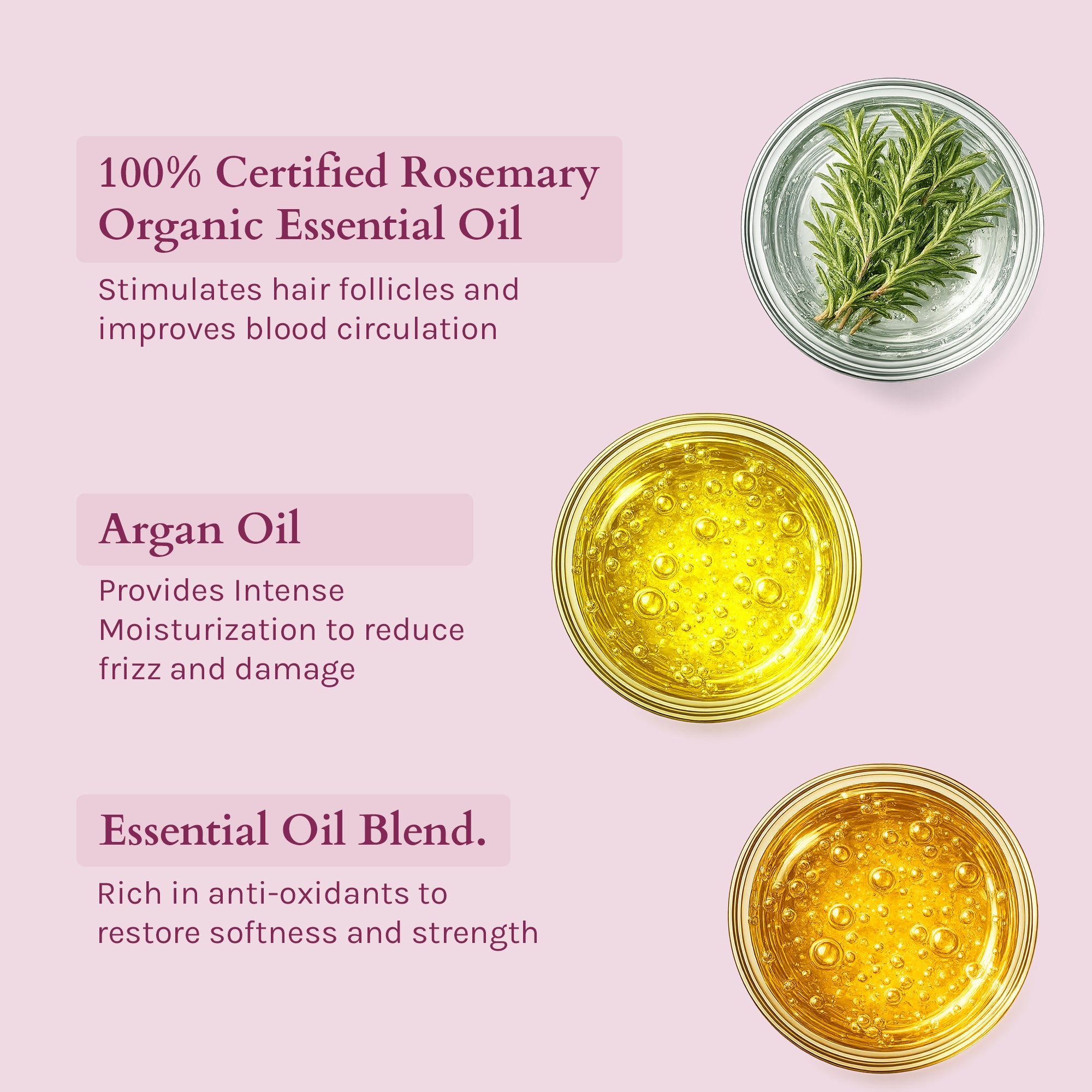 Lotus Organics+ Strong Roots Conditioner