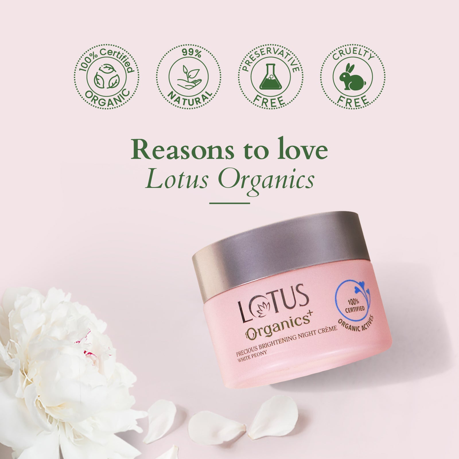 Lotus Precious Brightening Night Creme