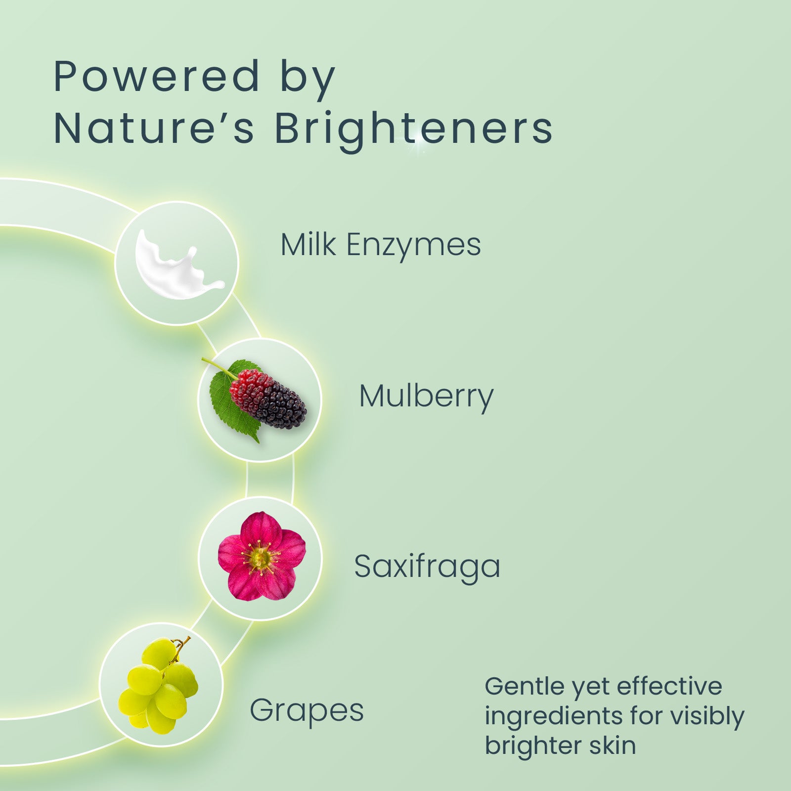 WhiteGlow Skin Brightening Serum+ Moisturiser