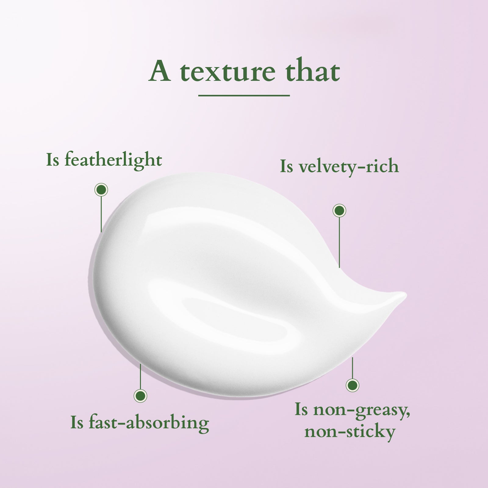 Lotus Bakuchiol Plant Retinol Night Recovery Crème