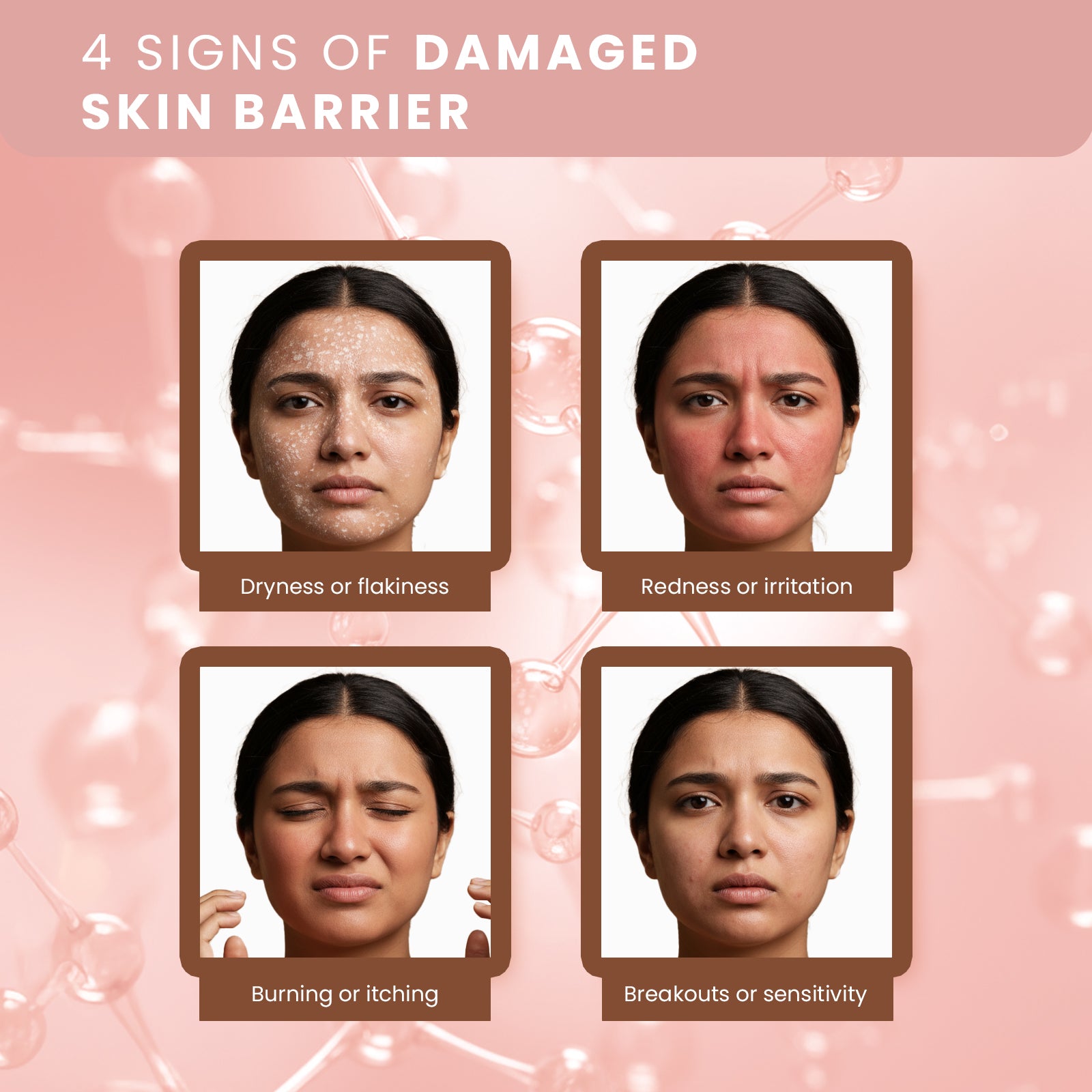 DermaBotanics Barrier Revive Moisturiser