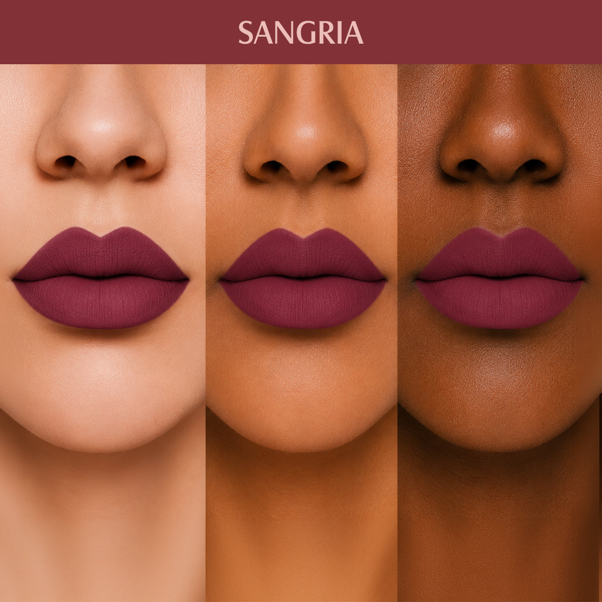 SANGRIA_PLM10
