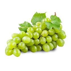 Grapes