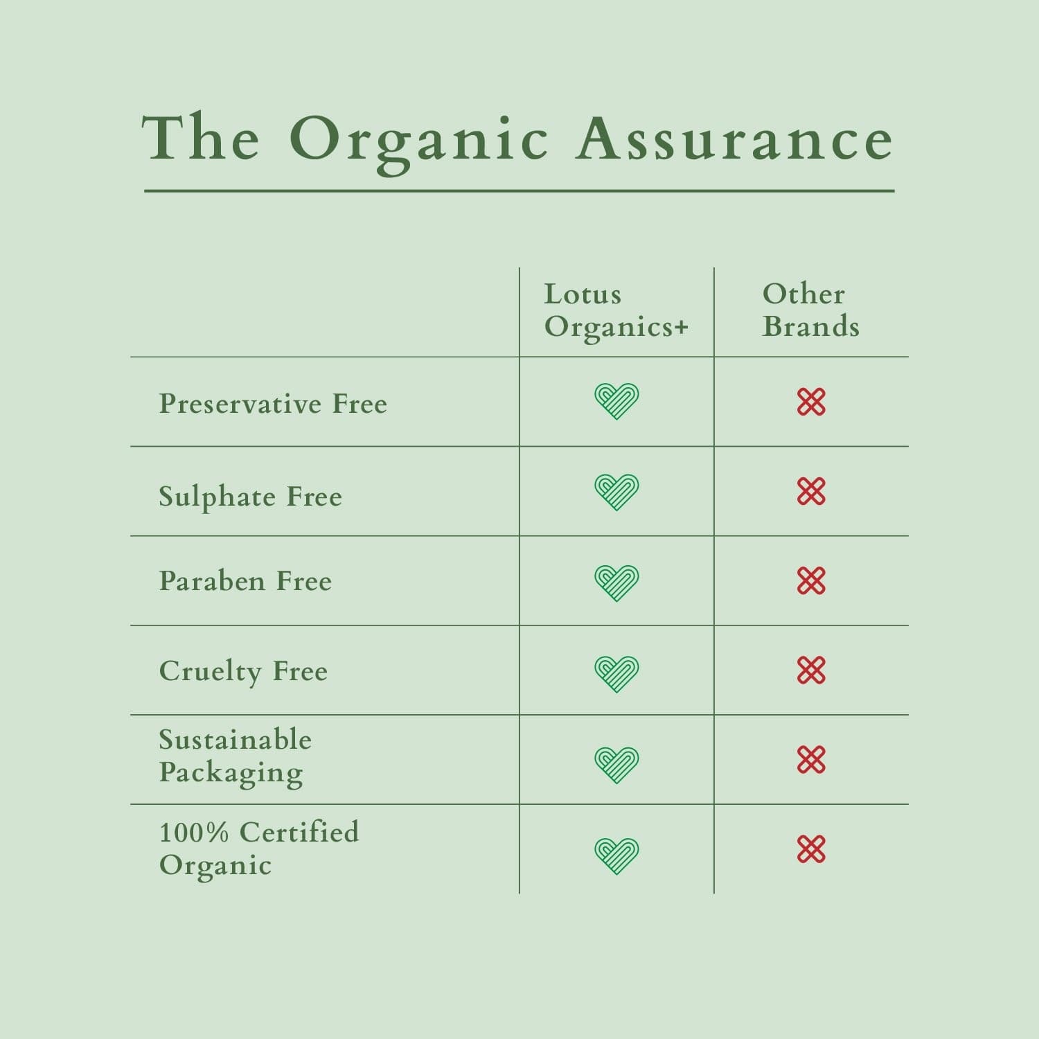 Intensive Scalp Care Kit ShopLotusOrganic