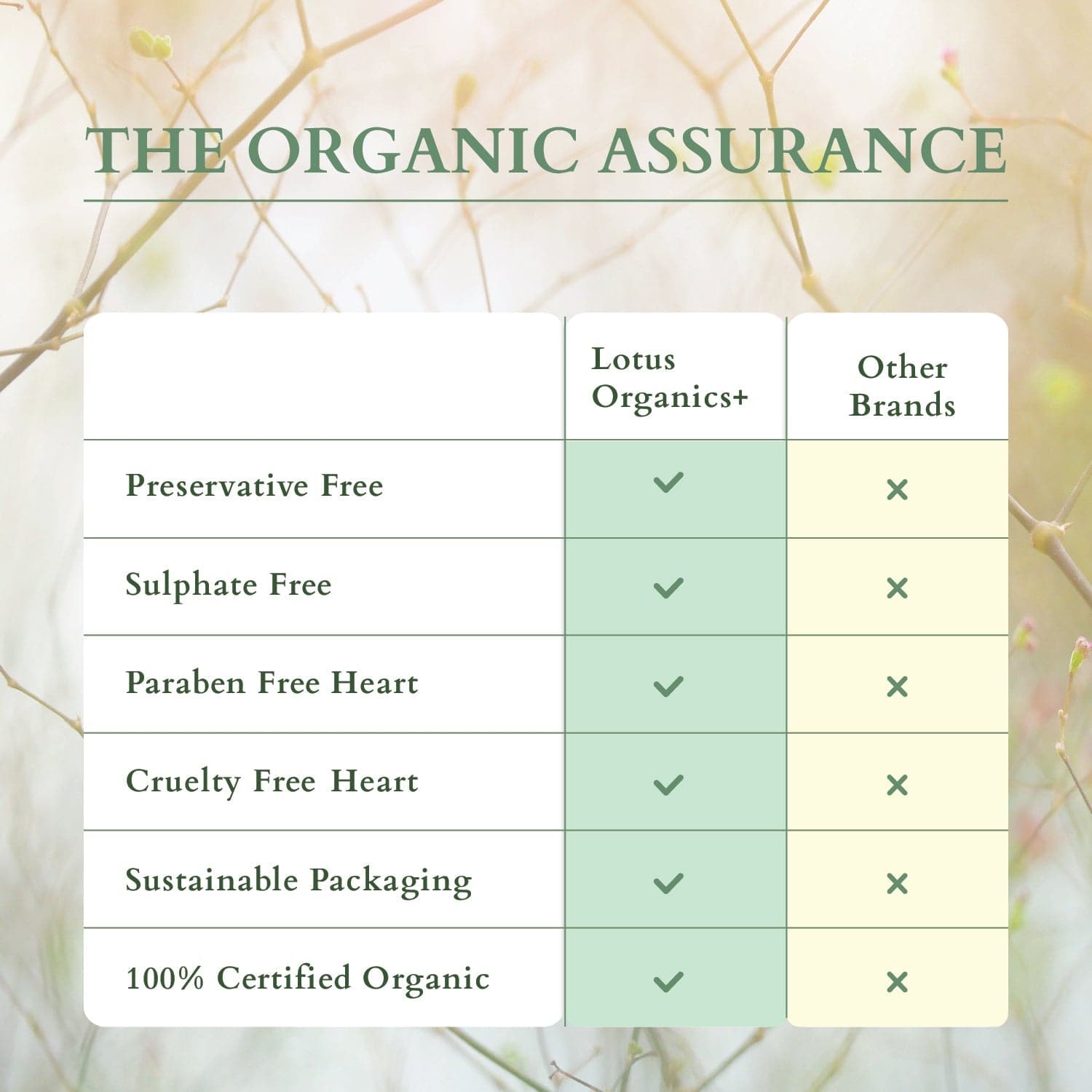 Precious Brightening & Protecting Beauty Set Lotus Organics
