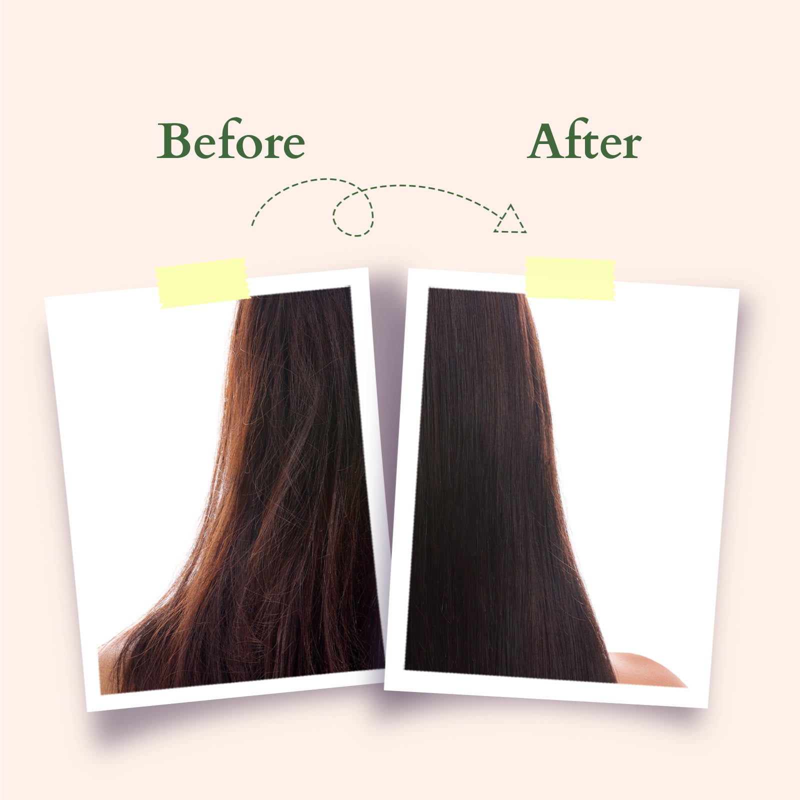Lotus Hair Fall Control Conditioner