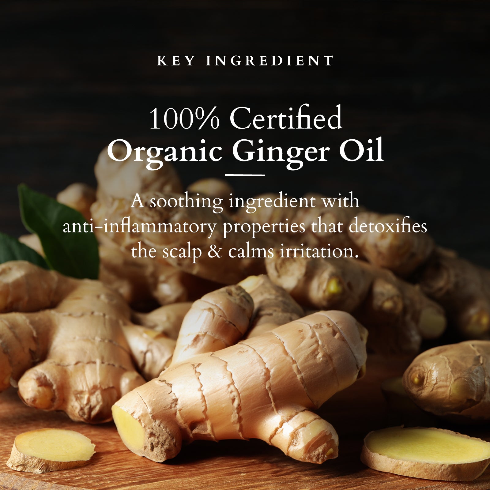 Intensive Scalp Revitalizing Oil