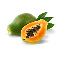 Papaya