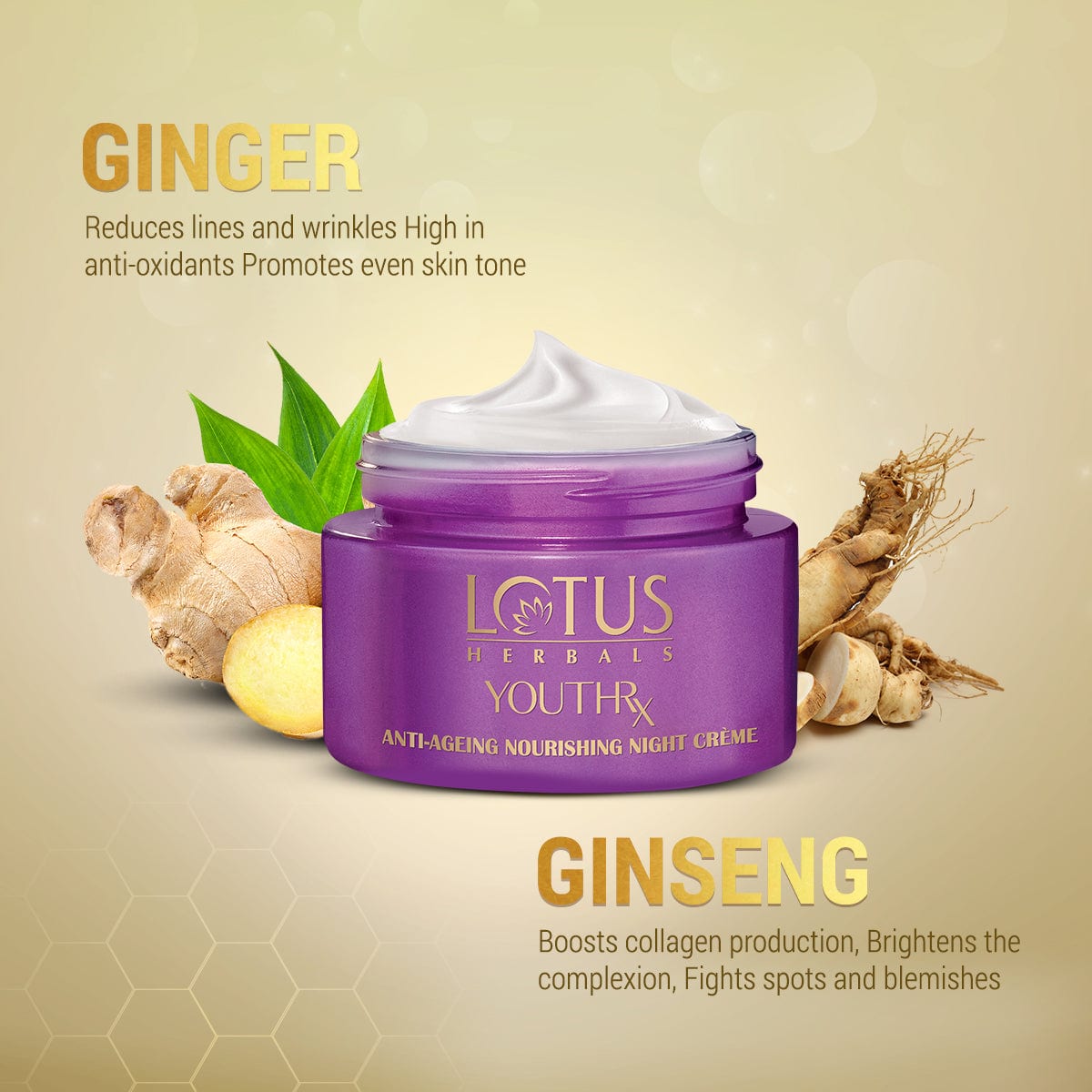 Lotus Herbals Youthrx Anti- Ageing Nourishing Night Creme