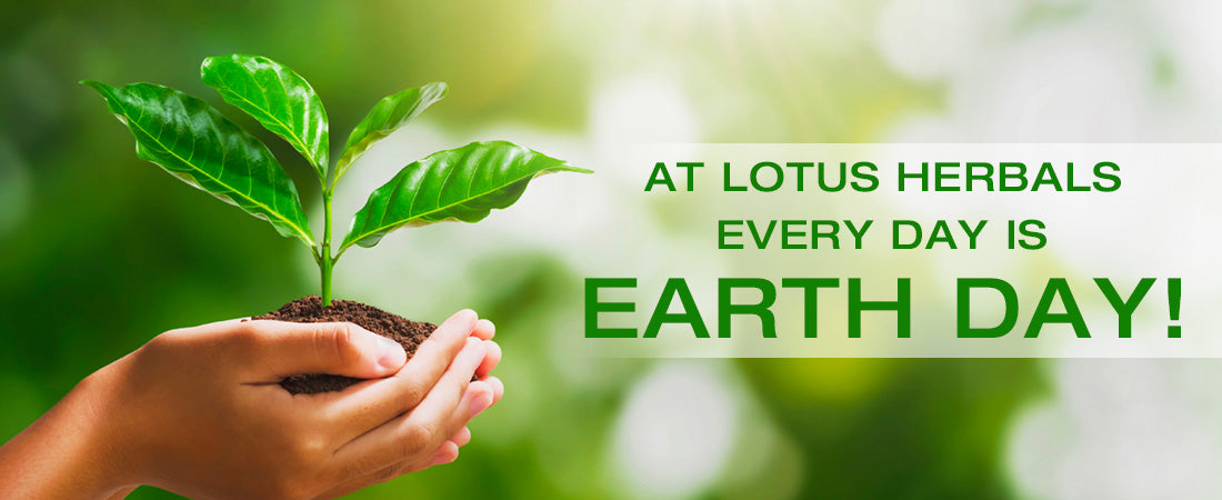 This Earth Day, learn how you can give back to nature by using Lotus Herbals products!