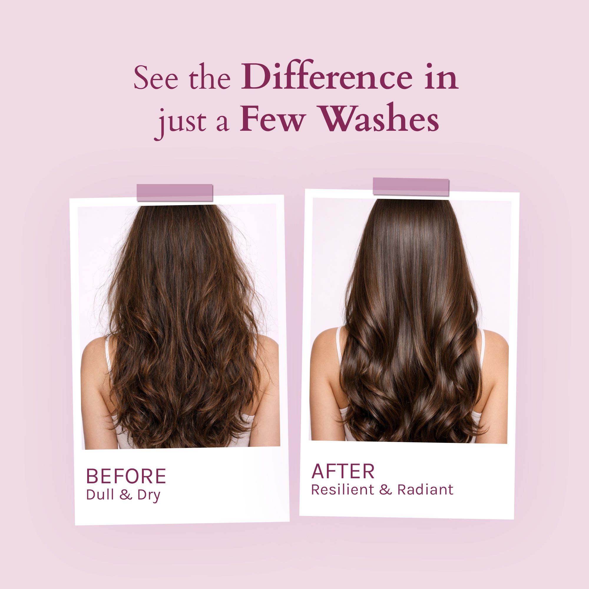 Lotus Organics+ Strong Roots Conditioner