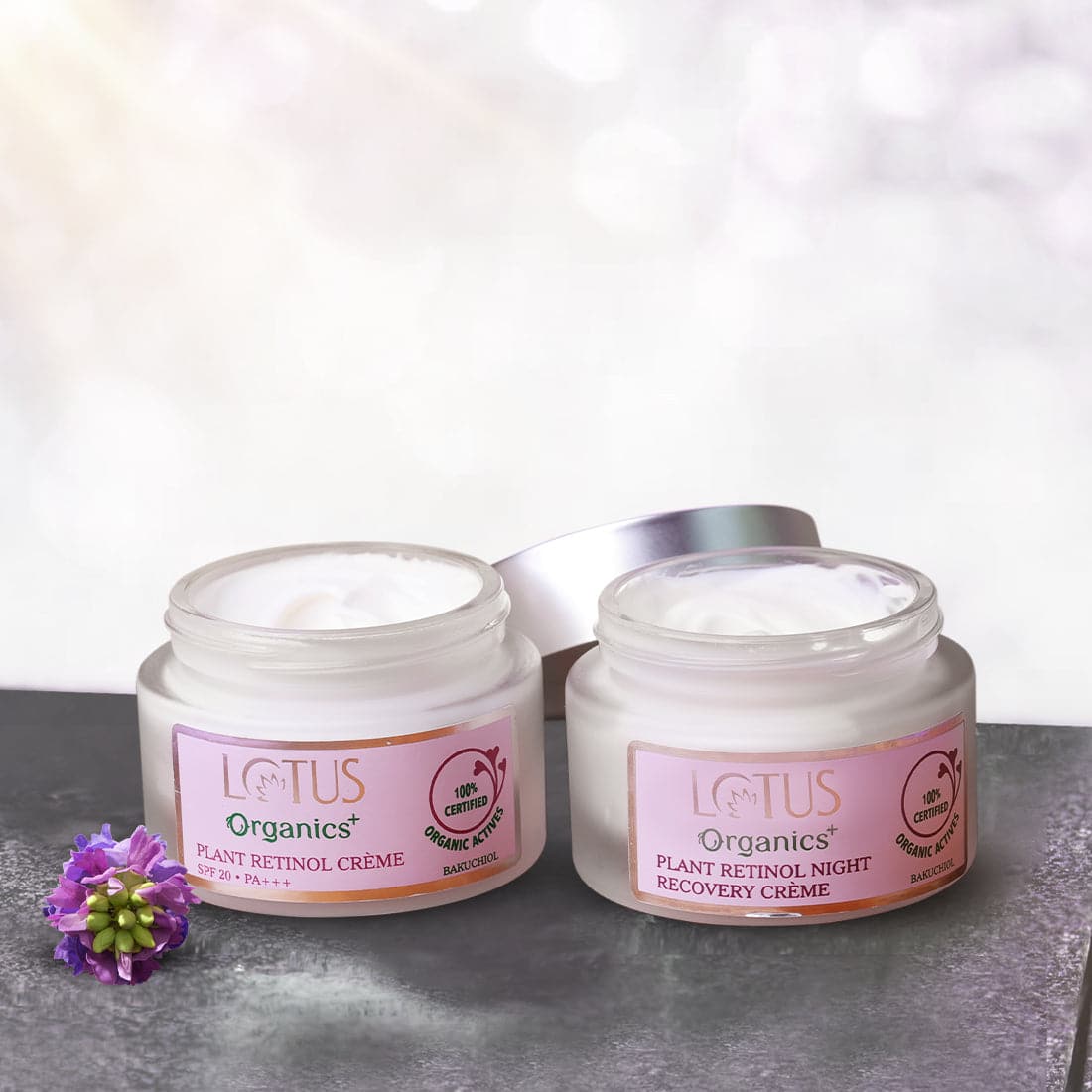 Bakuchiol Anti-Ageing Mini Kit - Lotus Organics