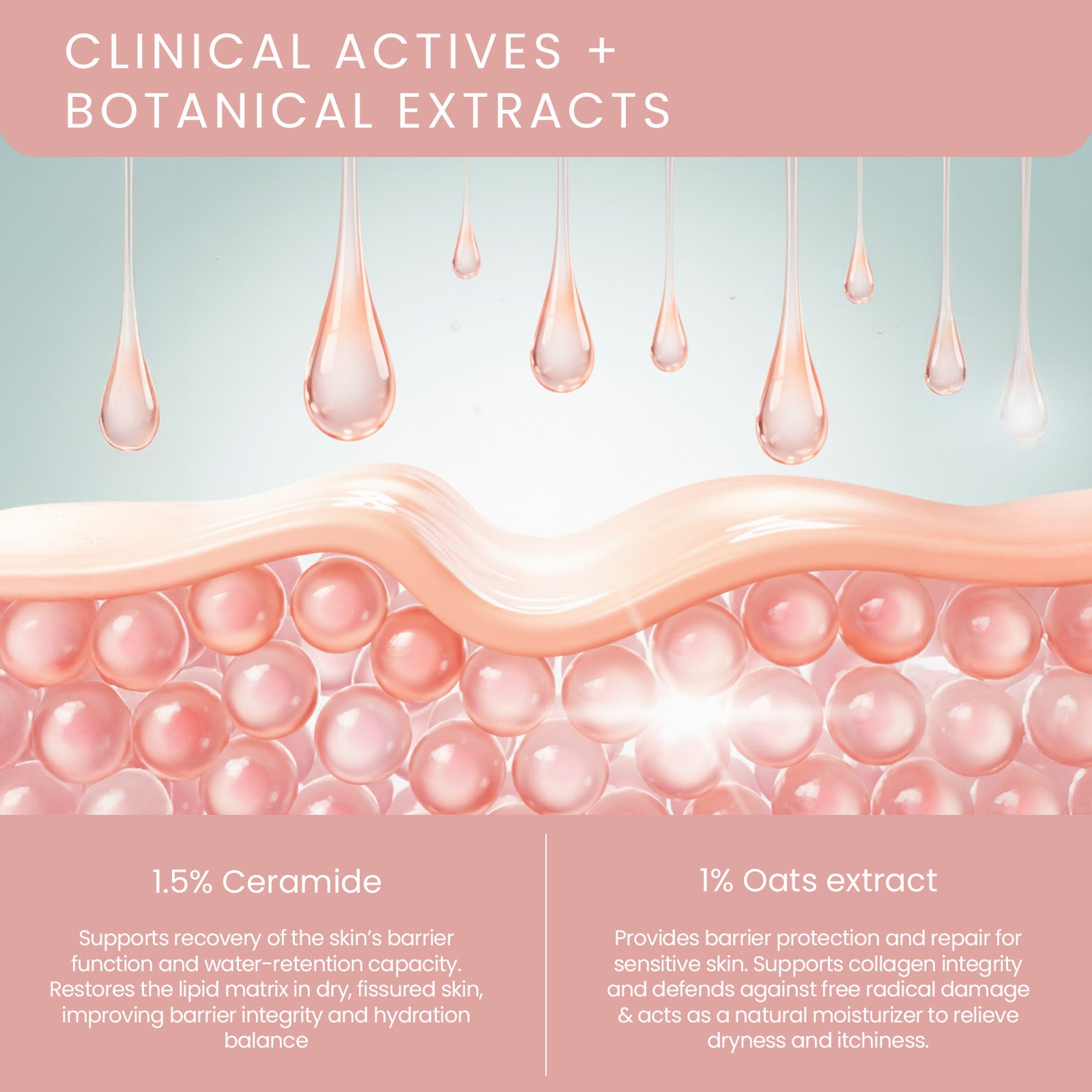 DermaBotanics Barrier Revive Moisturiser