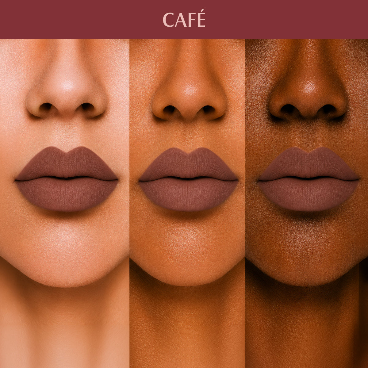 CAFE_PLM16