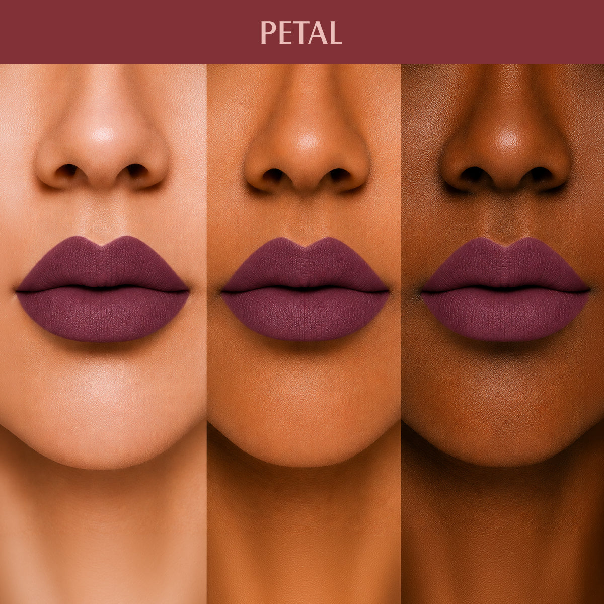 PETAL_PLM13