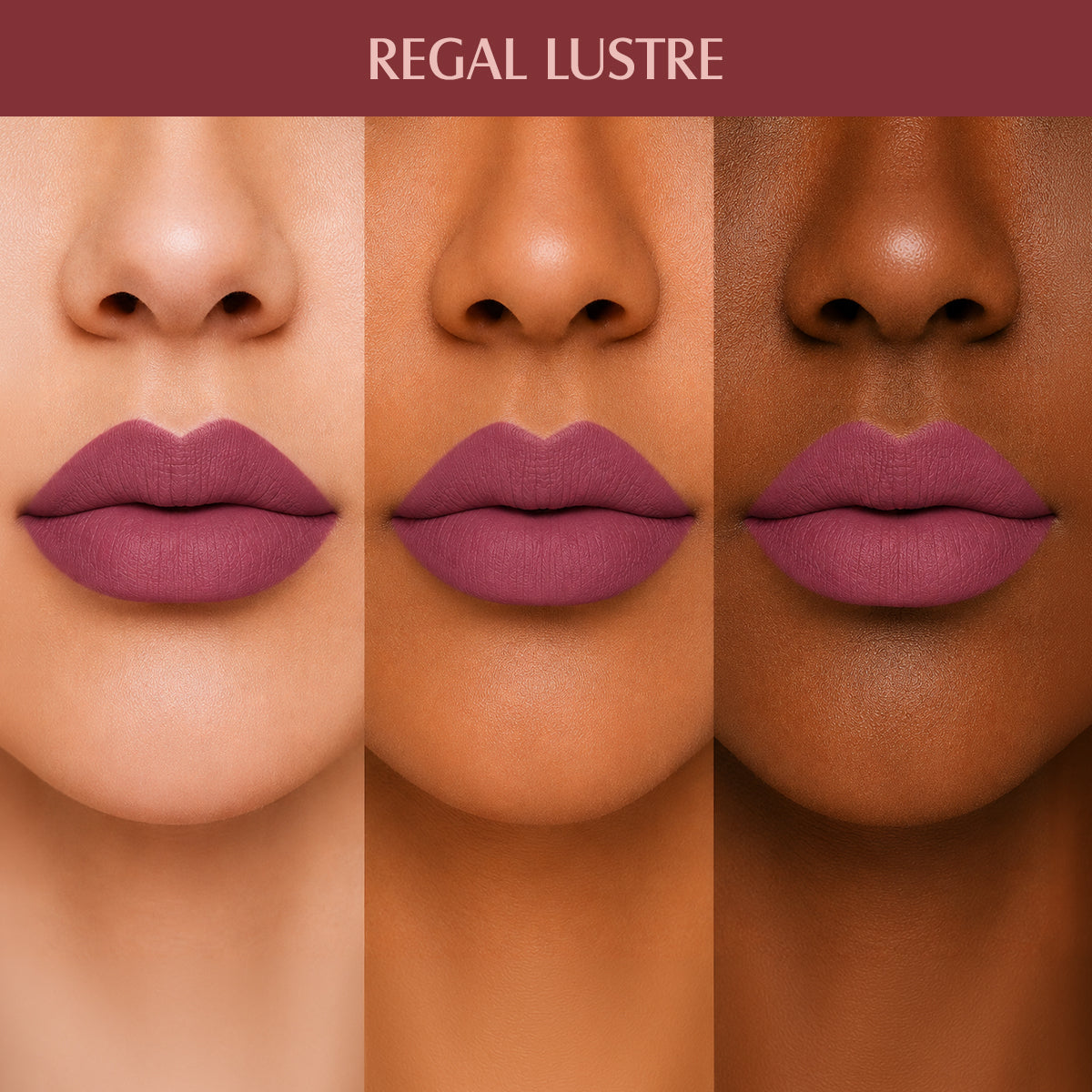REGAL_LUSTRE_PLM08