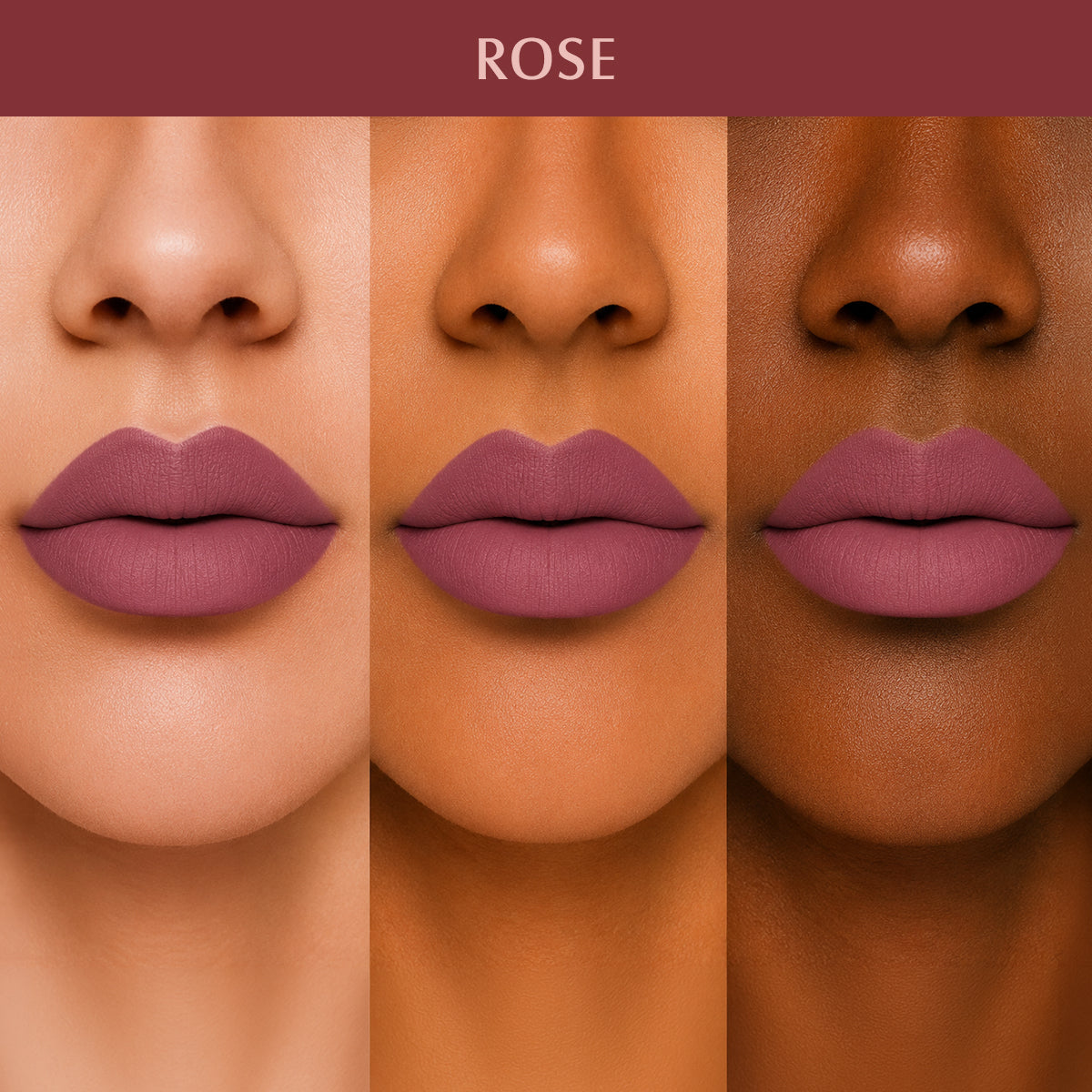 ROSE_PLM12