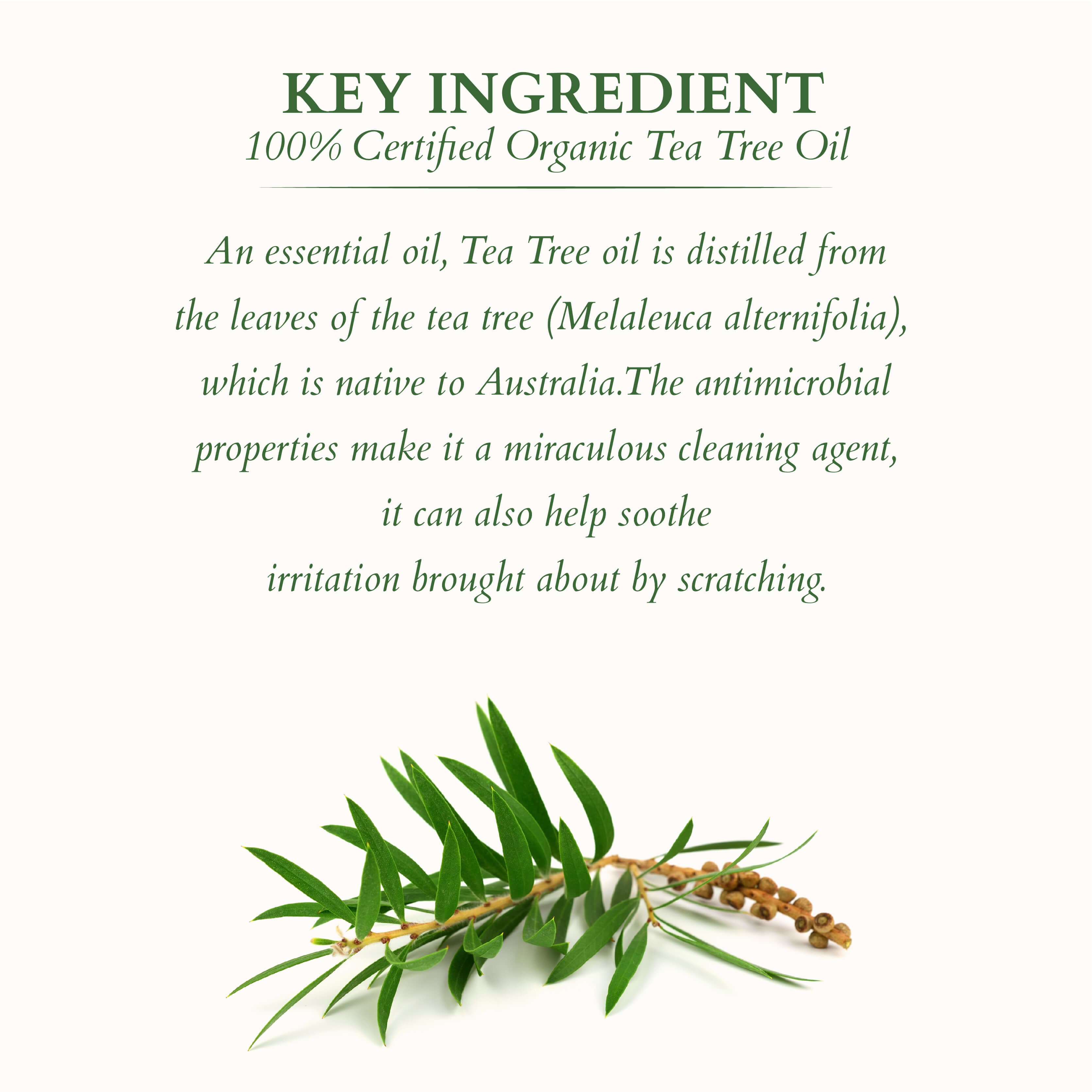 Lotus Chemical-Free Anti-Dandruff Shampoo