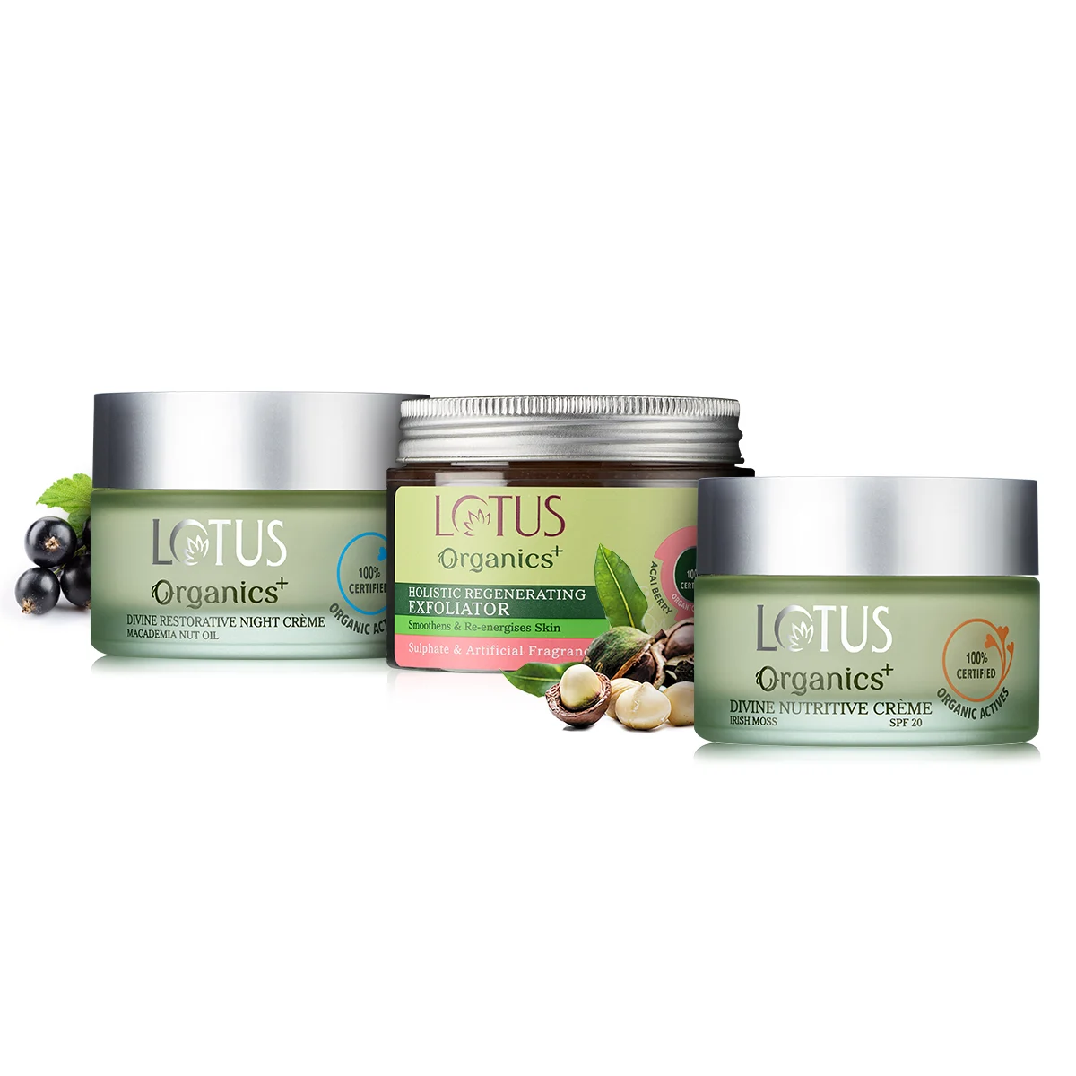 Divine Day and Night Rejuvenation Regime ShopLotusOrganic