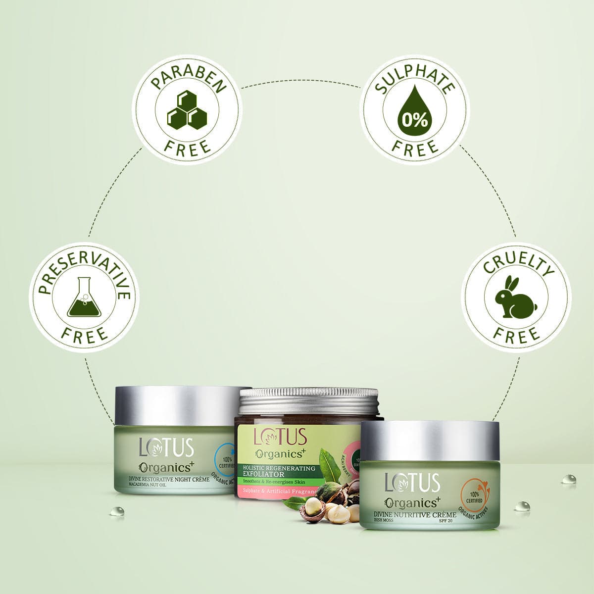 Divine Day and Night Rejuvenation Regime