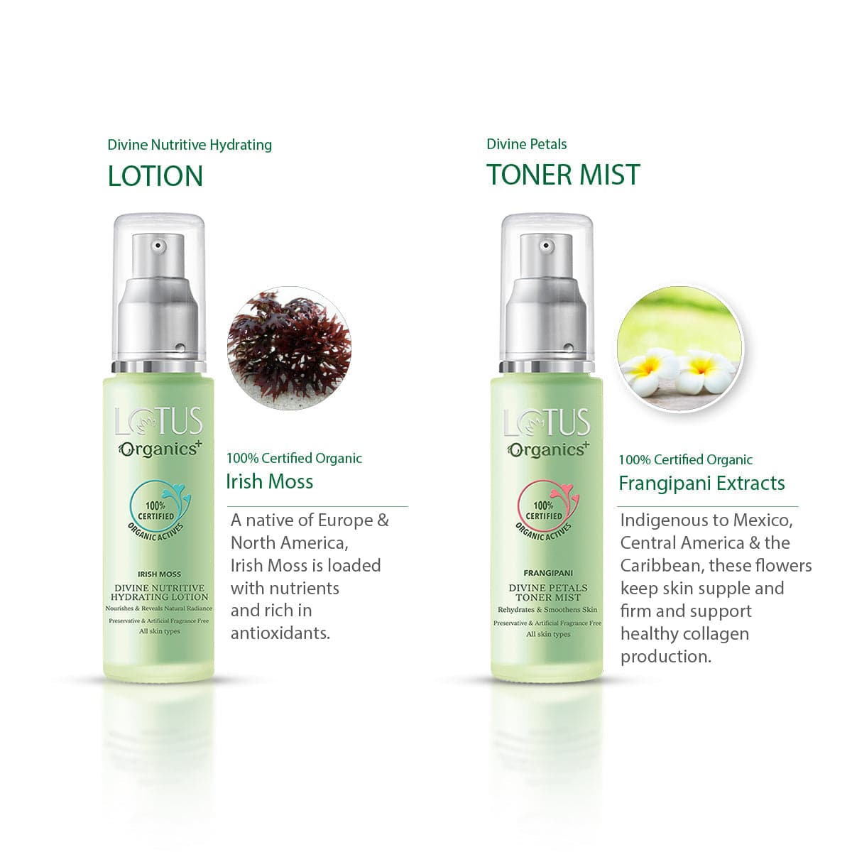Divine Hydrating Glow Collection