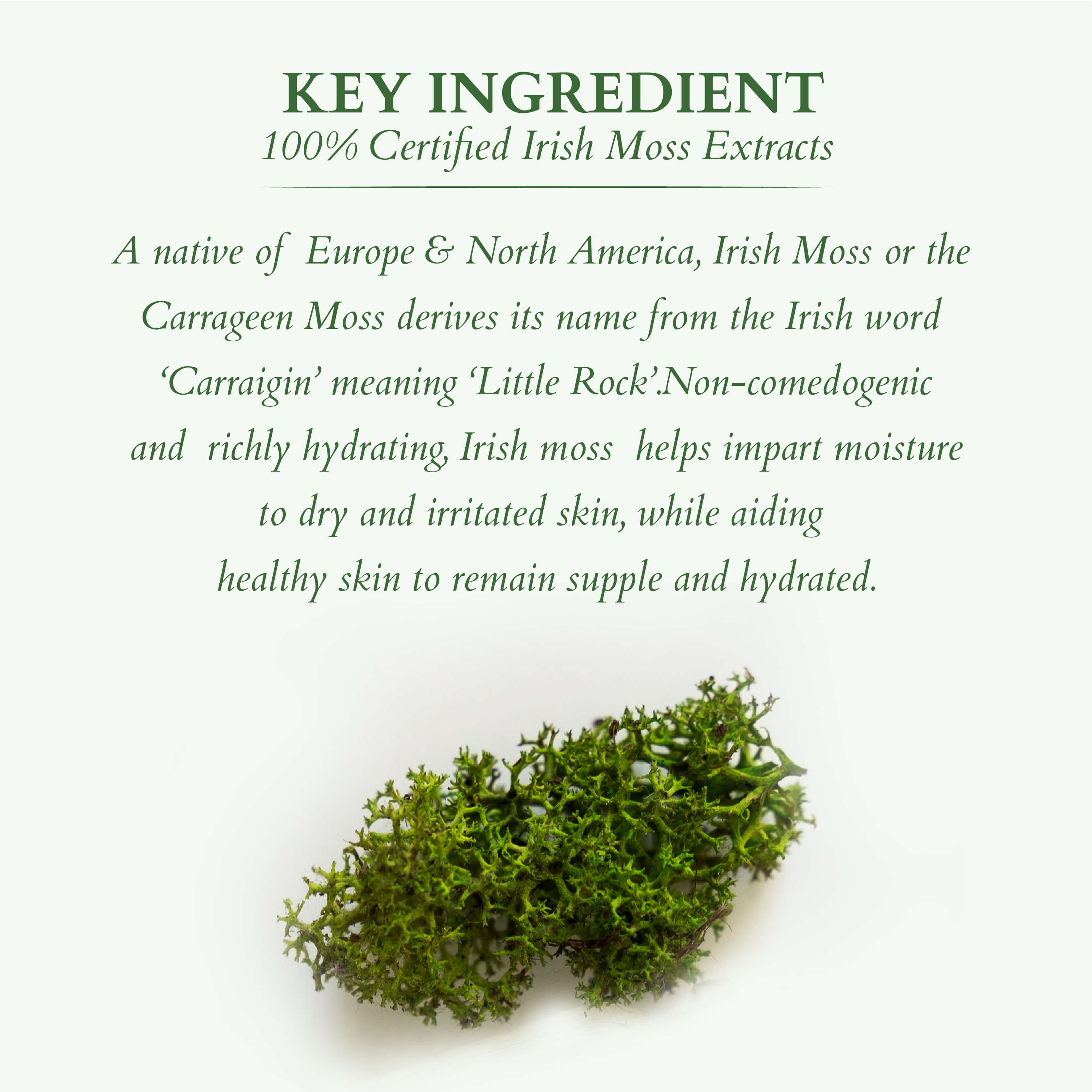Key ingredients for Divine nutritive creme spf 20