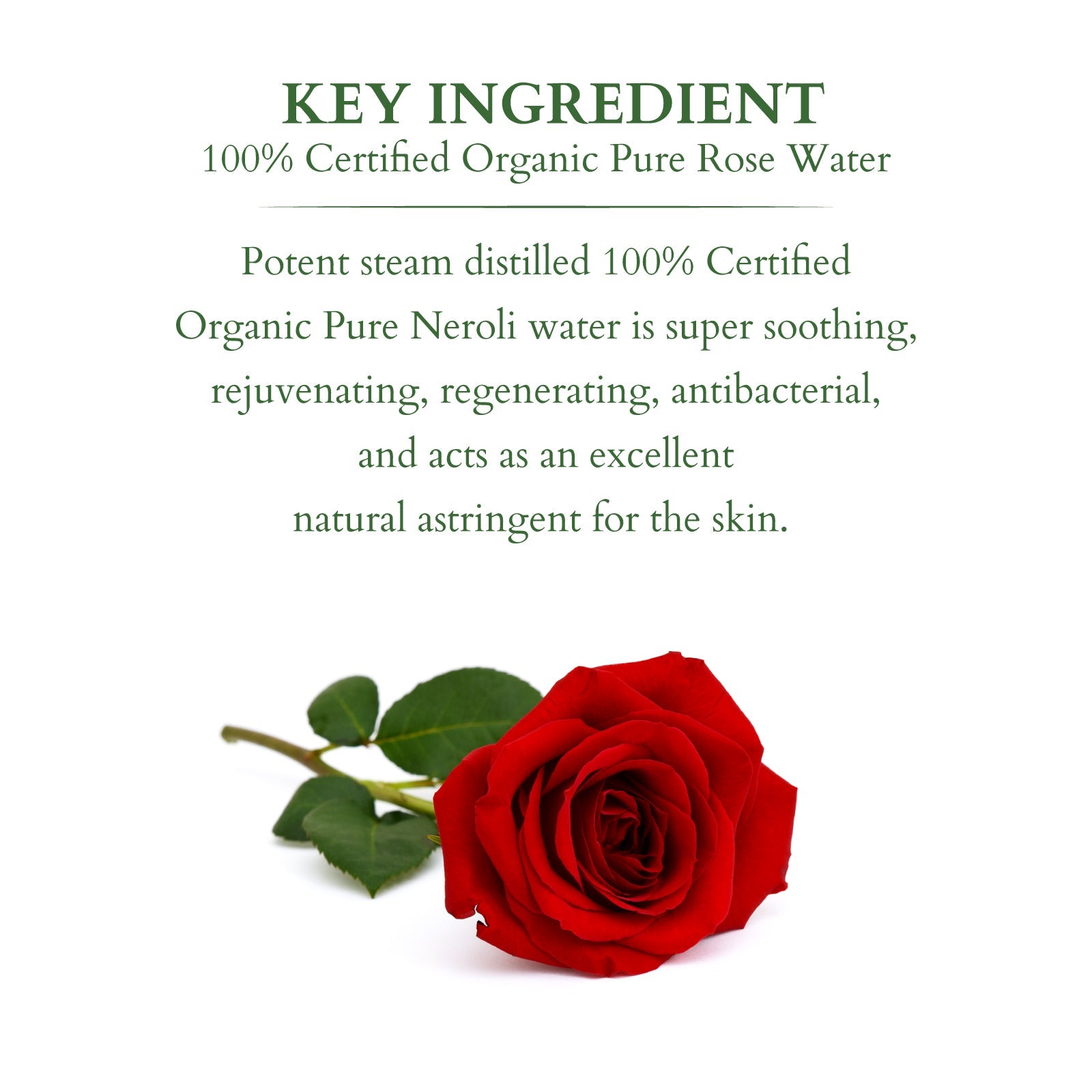 Lotus 100% PURE ROSE FLORAL WATER