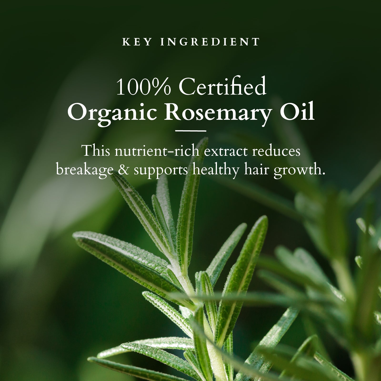 Hair Growth Active-Concentrate Serum