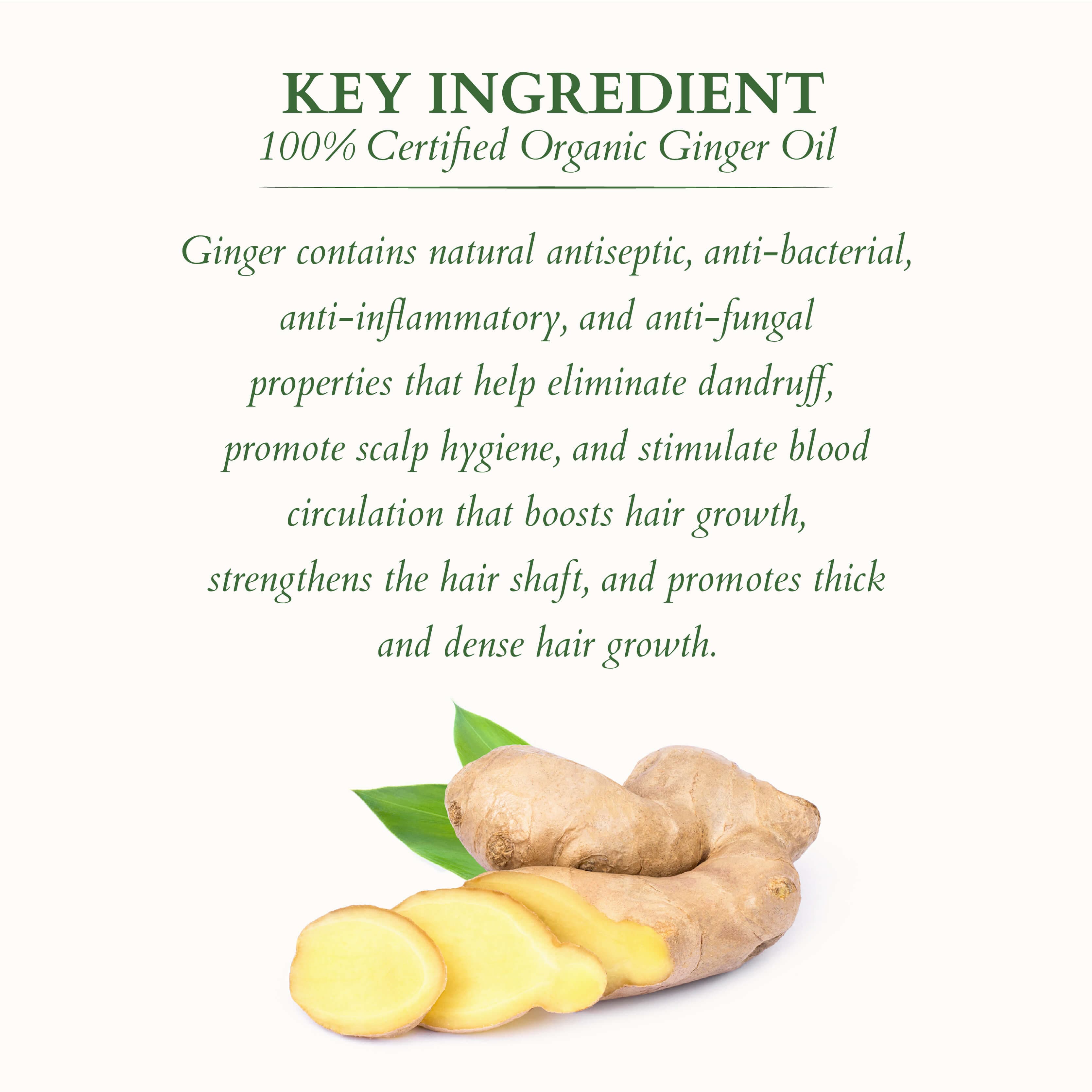 Intensive Scalp Revitalizing Oil