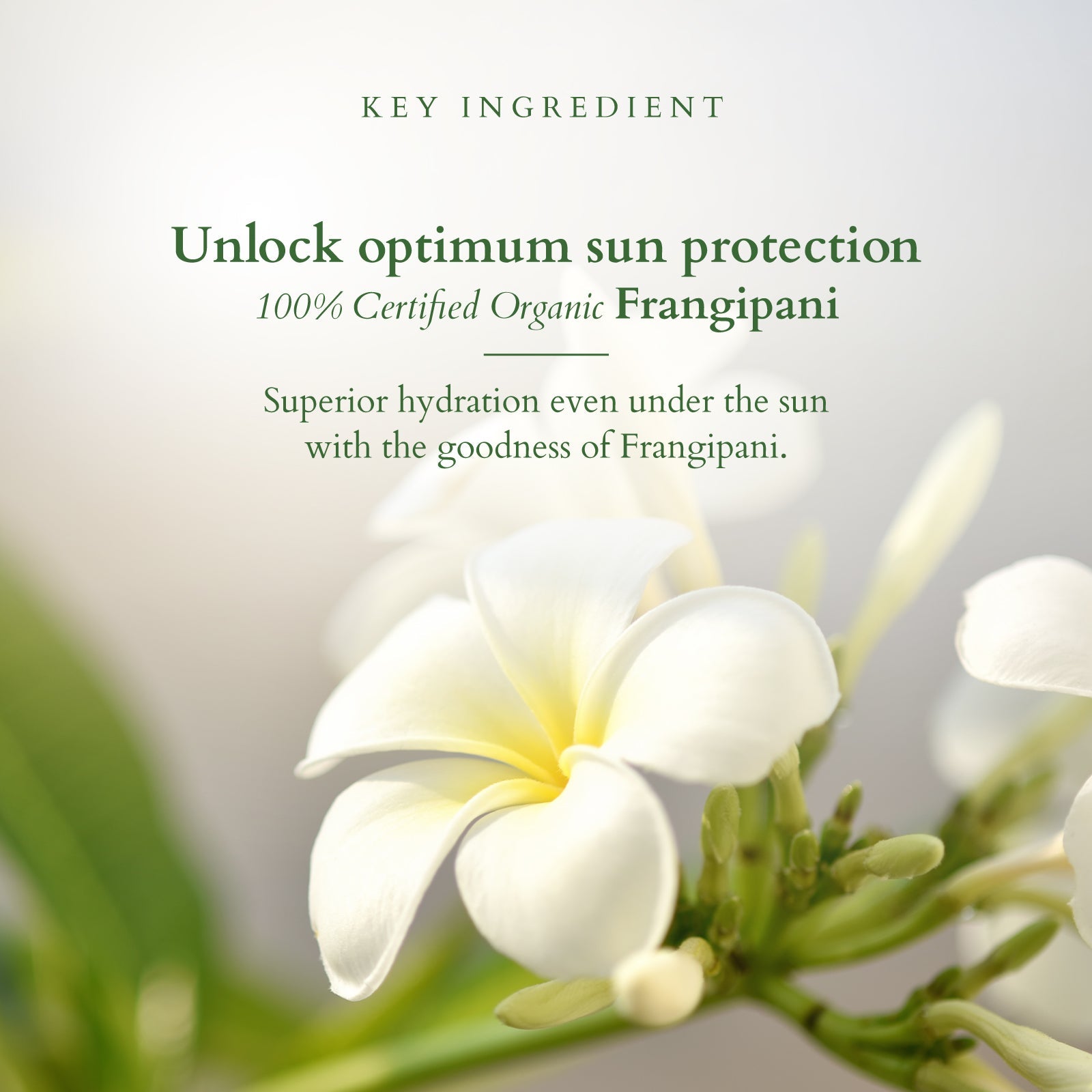 Hydrating Gel Mineral Sunscreen SPF 30 PA+++