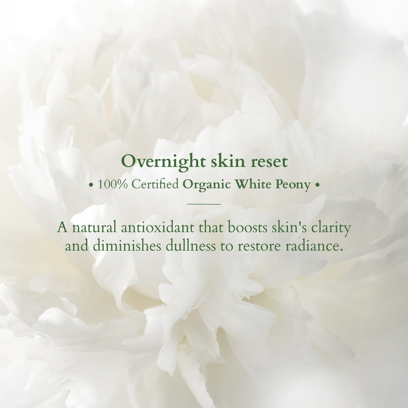 Precious Brightening Facewash & Creme Collection