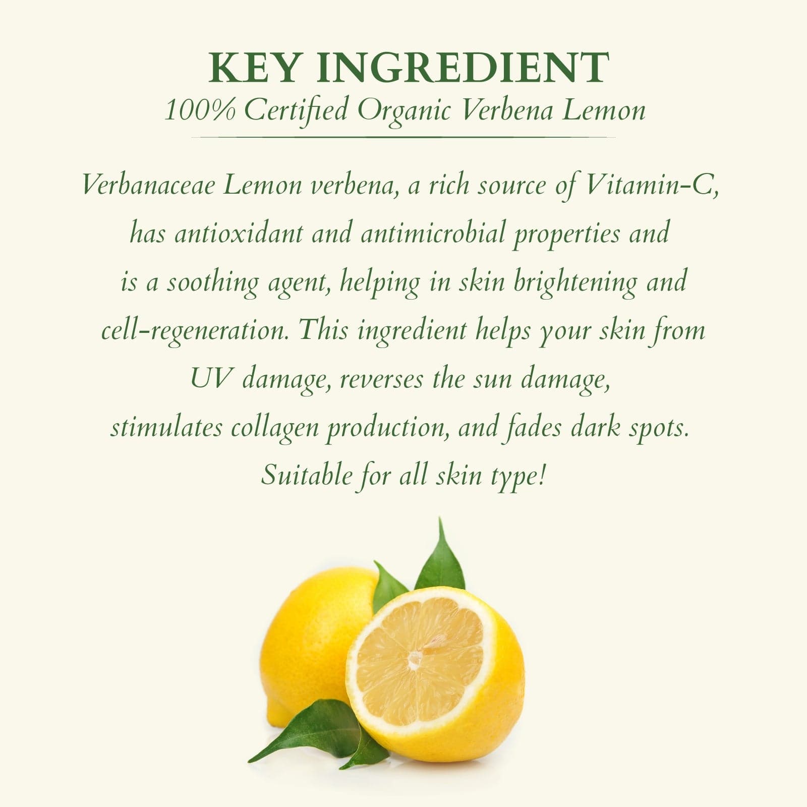Vit – C Fresh Glow Duo