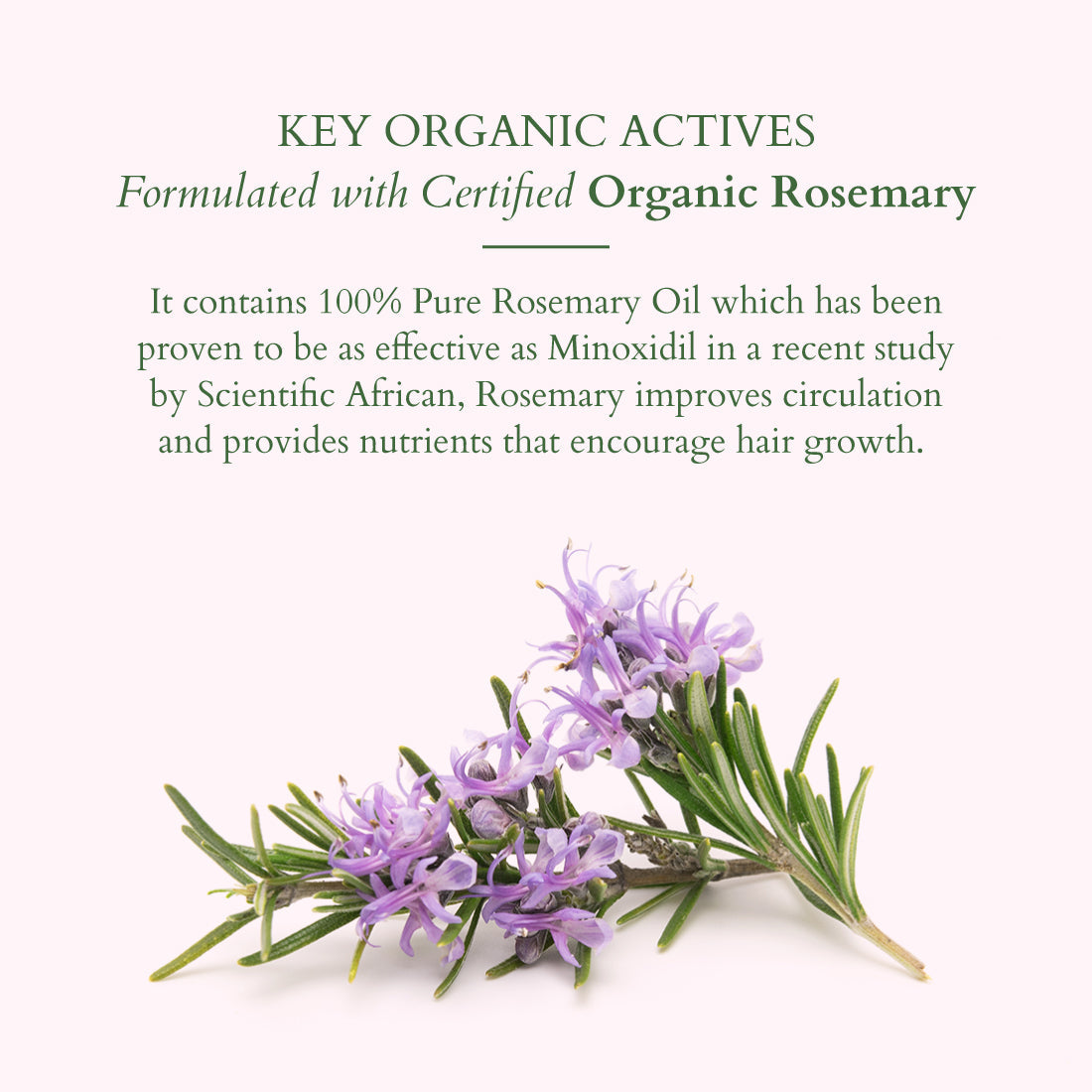 Hair Growth Active-Concentrate Serum