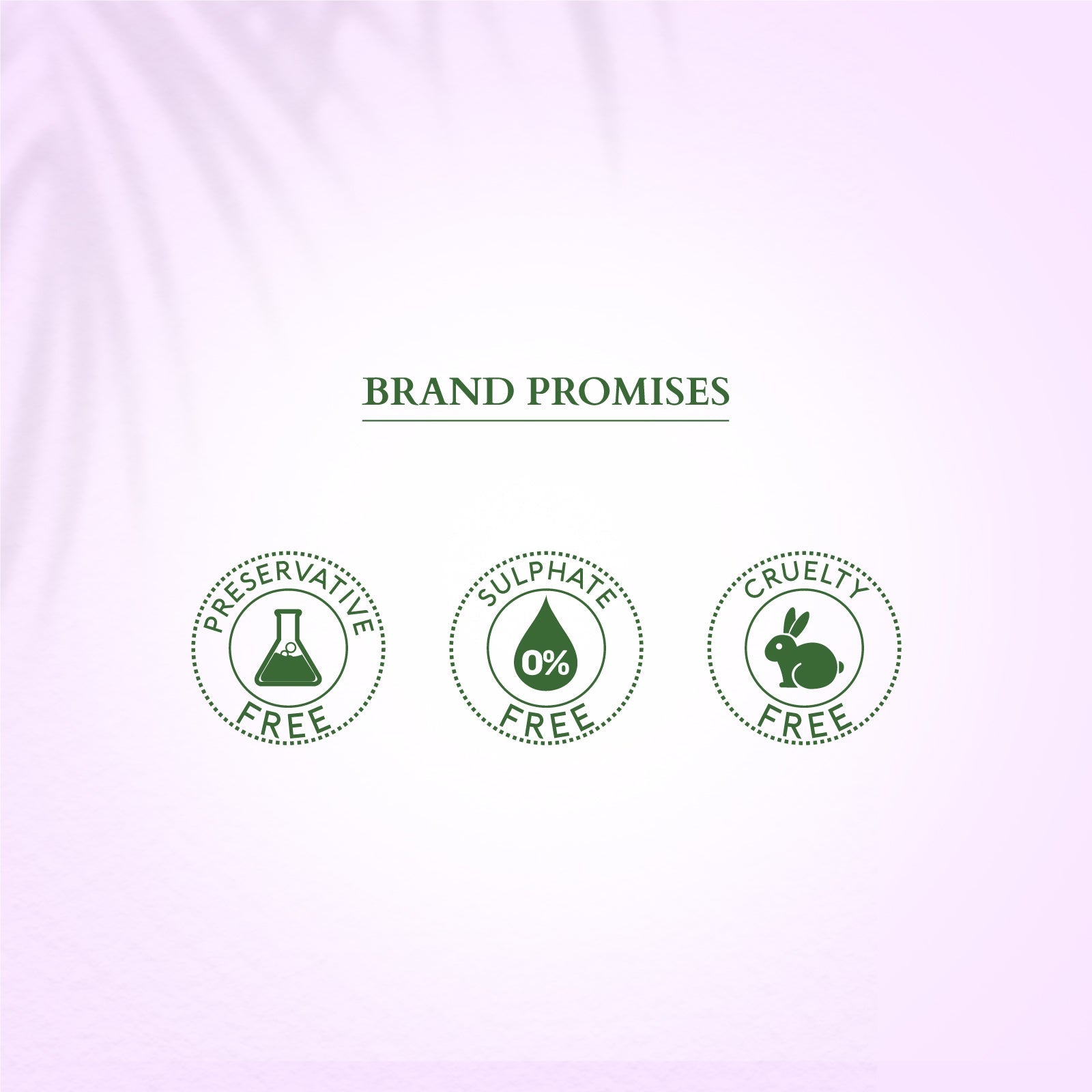 Bakuchiol Plant Retinol Crème